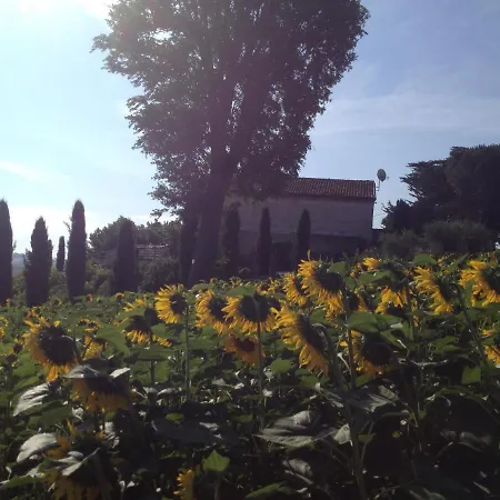 Tenuta Paradiso Sundown Vakantiehuis