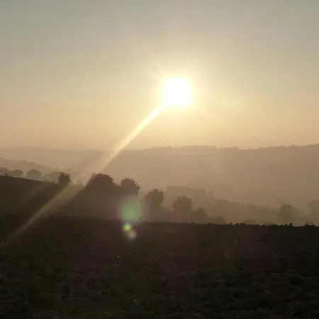 Tenuta Paradiso Sundown *