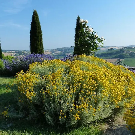 Tenuta Paradiso Sundown Ostra