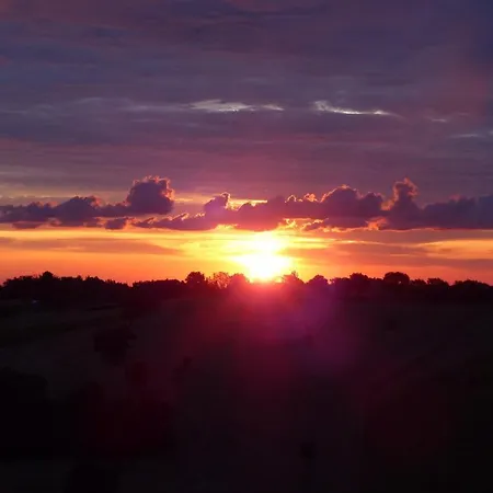 Tenuta Paradiso Sundown Ostra
